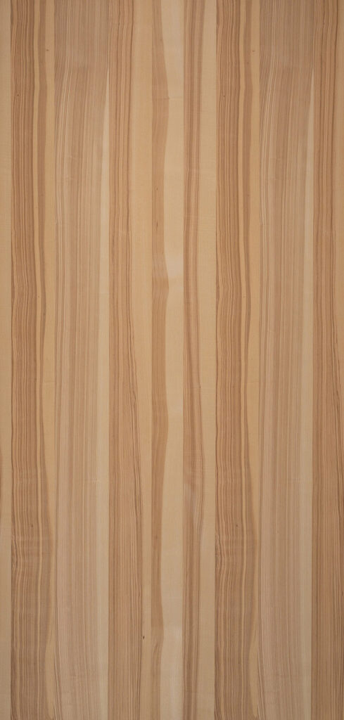 Holzdekor Esche bunt – Leafs Furnier
