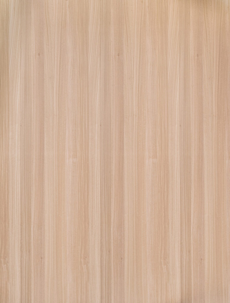 Holzdekor Eukalyptus – Leafs Furnier