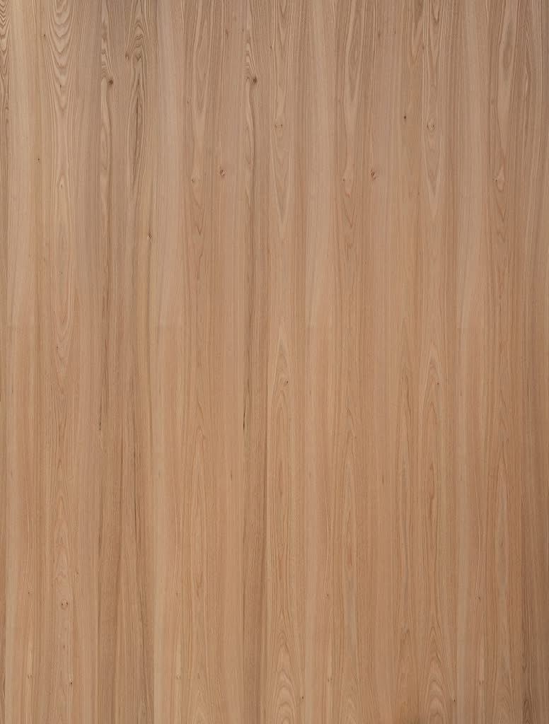 Holzdekor Rüster – Leafs Furnier by WVS Ostrowski